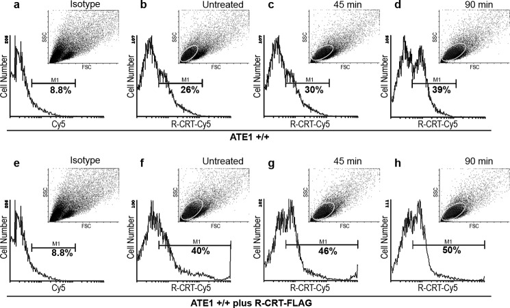 FIGURE 6.