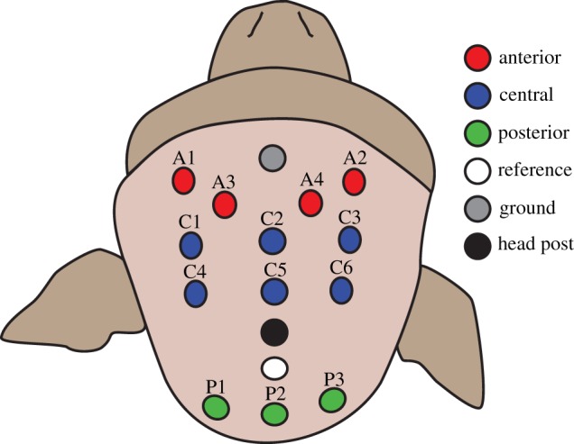 Figure 2.