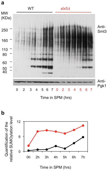 Extended Data Figure 5