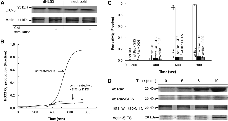 Figure 4