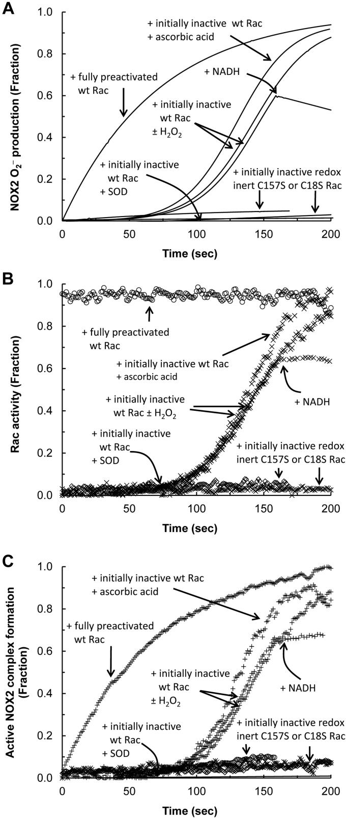 Figure 2