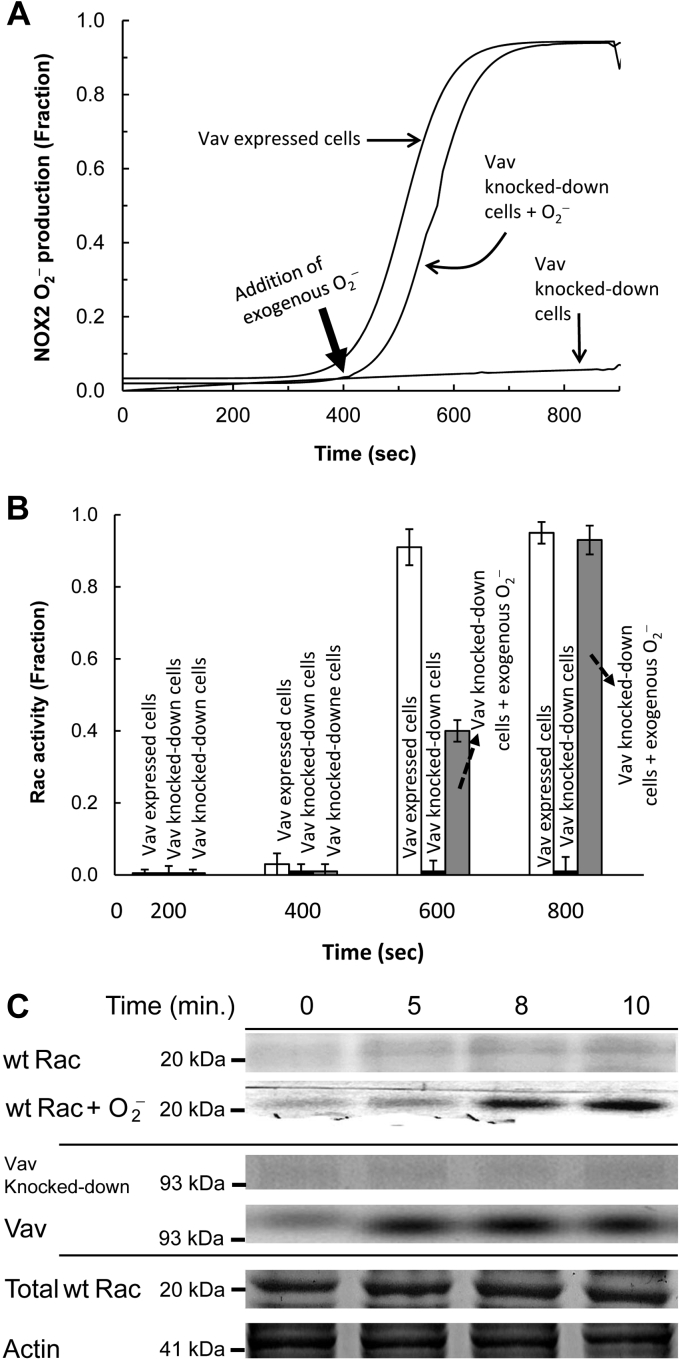 Figure 6