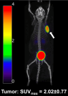 Fig. 3