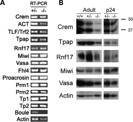 Figure 6.