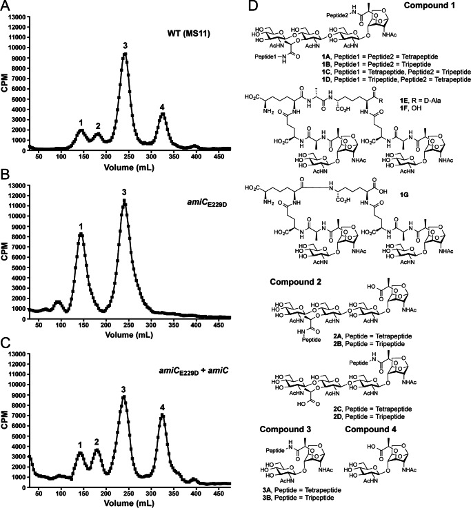 FIGURE 1.