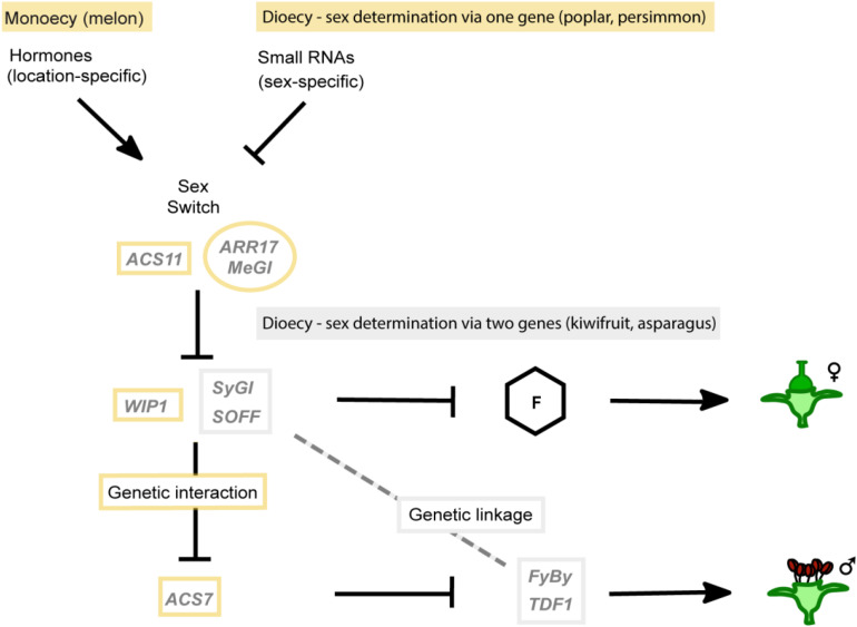 FIGURE 3