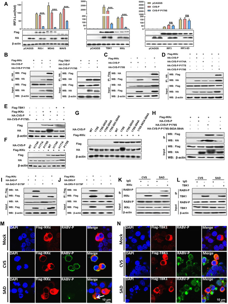 FIG 3