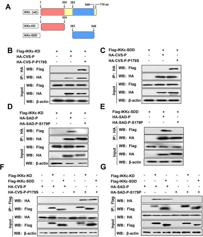 FIG 4