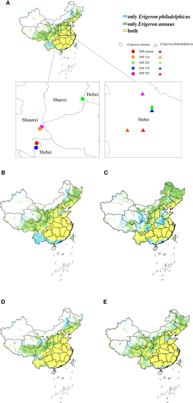 Figure 6