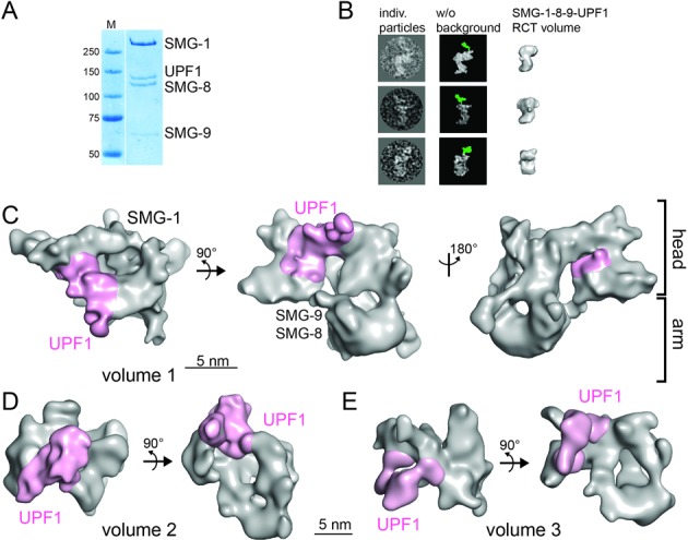 Figure 2.