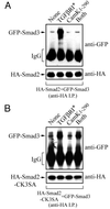 FIG. 7