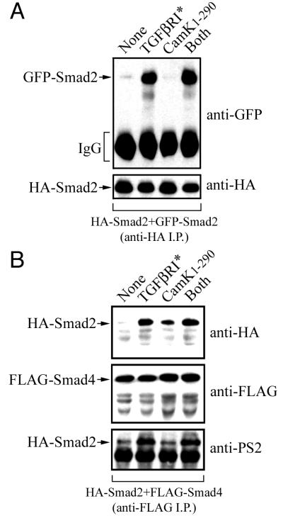 FIG. 6