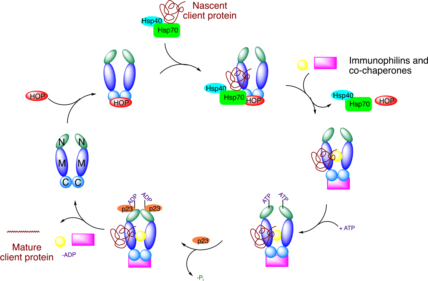 Figure 2.