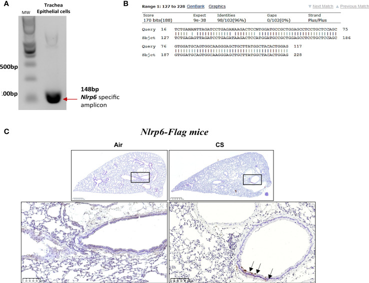 Figure 3