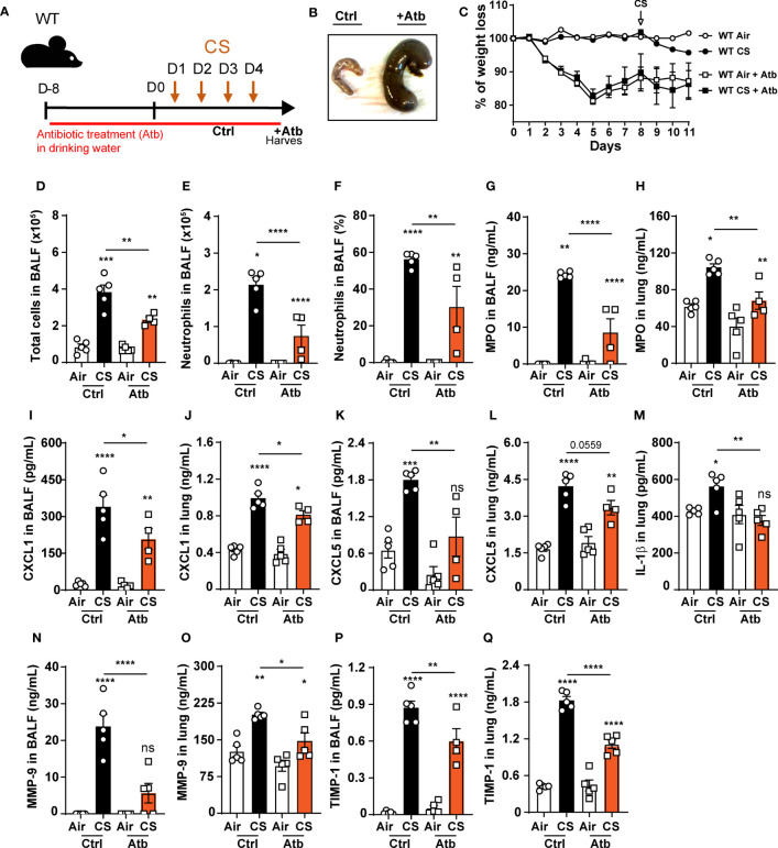 Figure 6