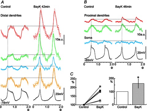 Figure 6