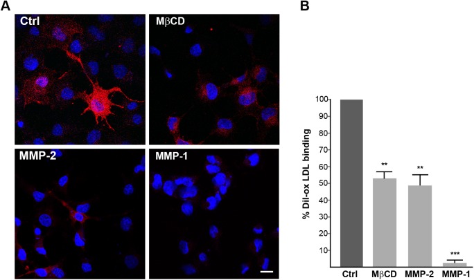 Fig 10