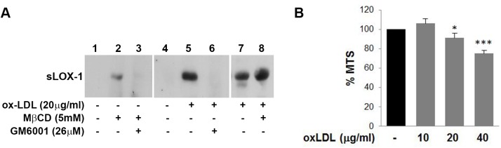 Fig 5