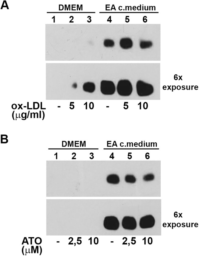 Fig 9