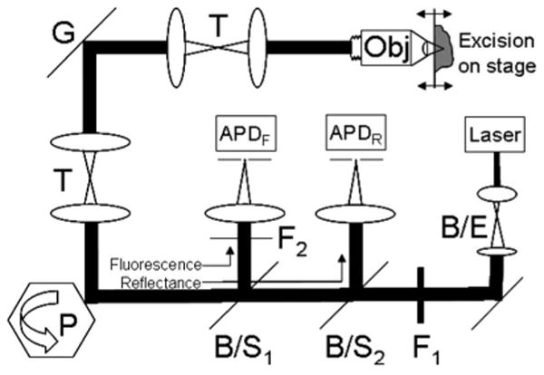 Fig. 1