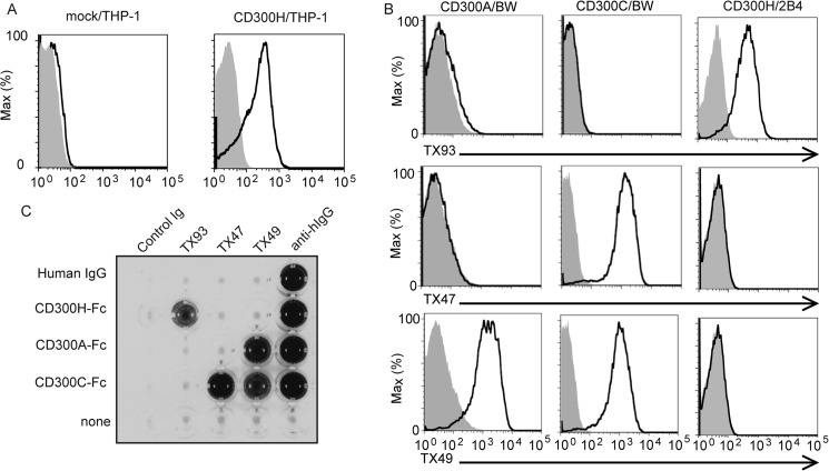 FIGURE 2.