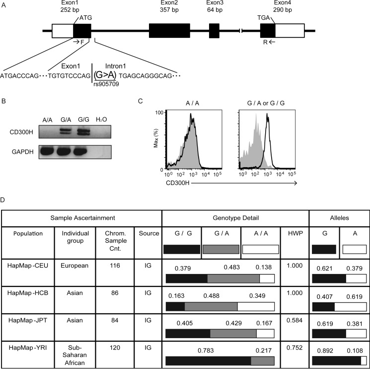 FIGURE 4.