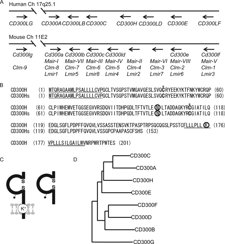 FIGURE 1.