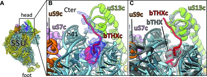 Figure 3.