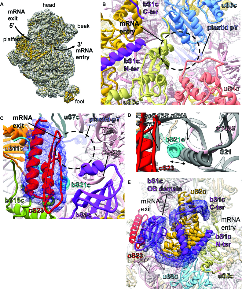 Figure 4.