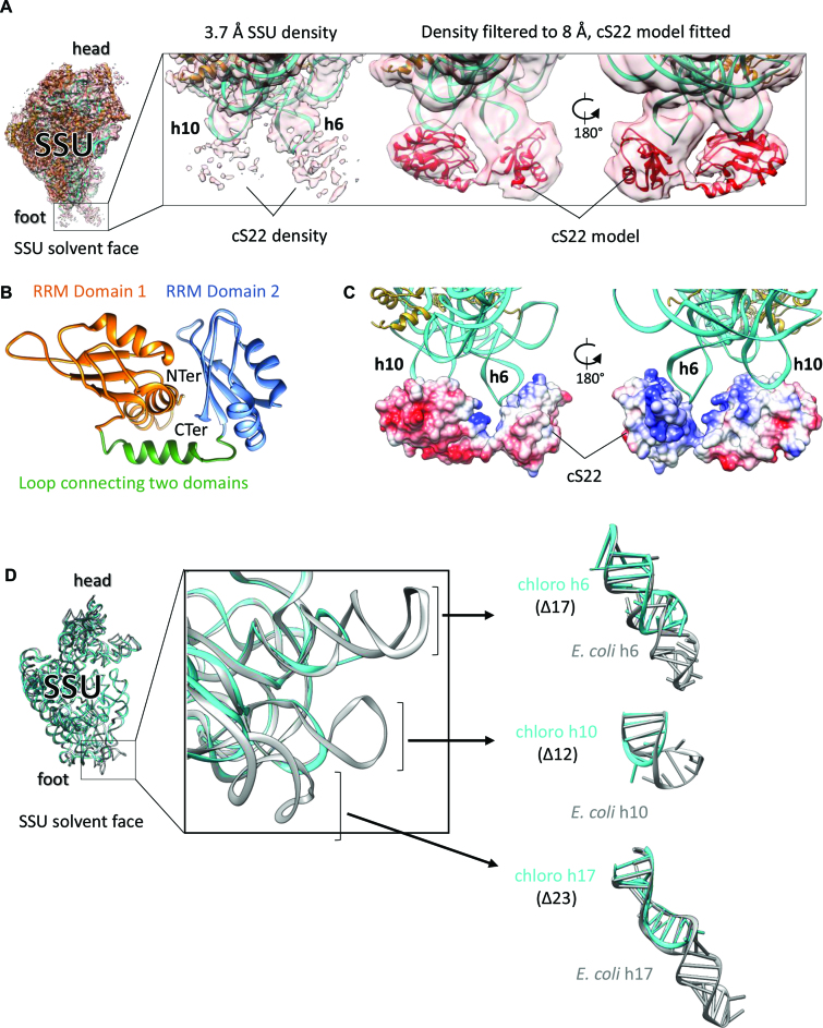 Figure 2.