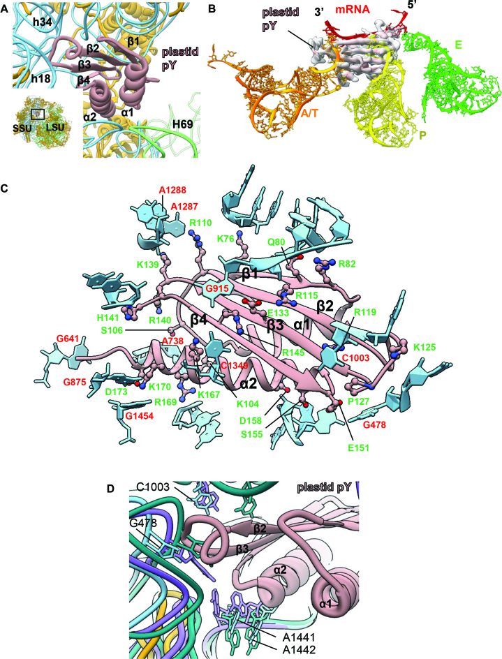 Figure 5.