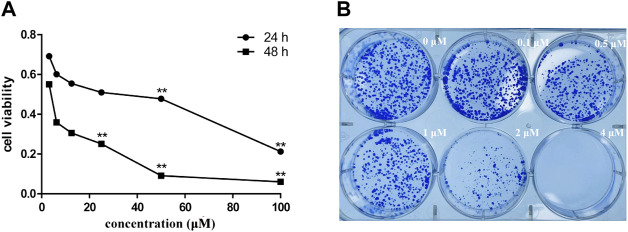 FIGURE 11