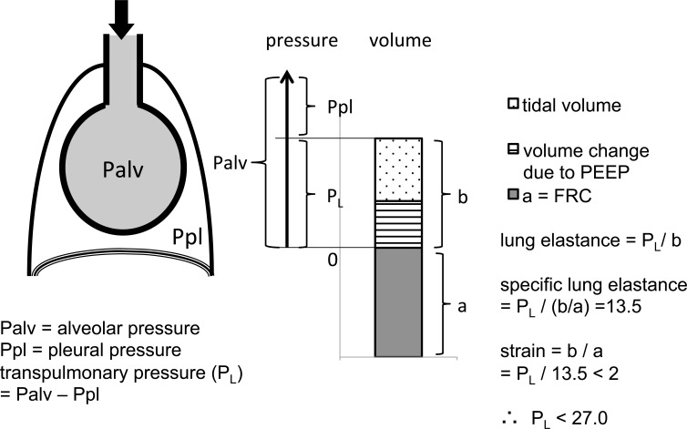 Fig. (1)