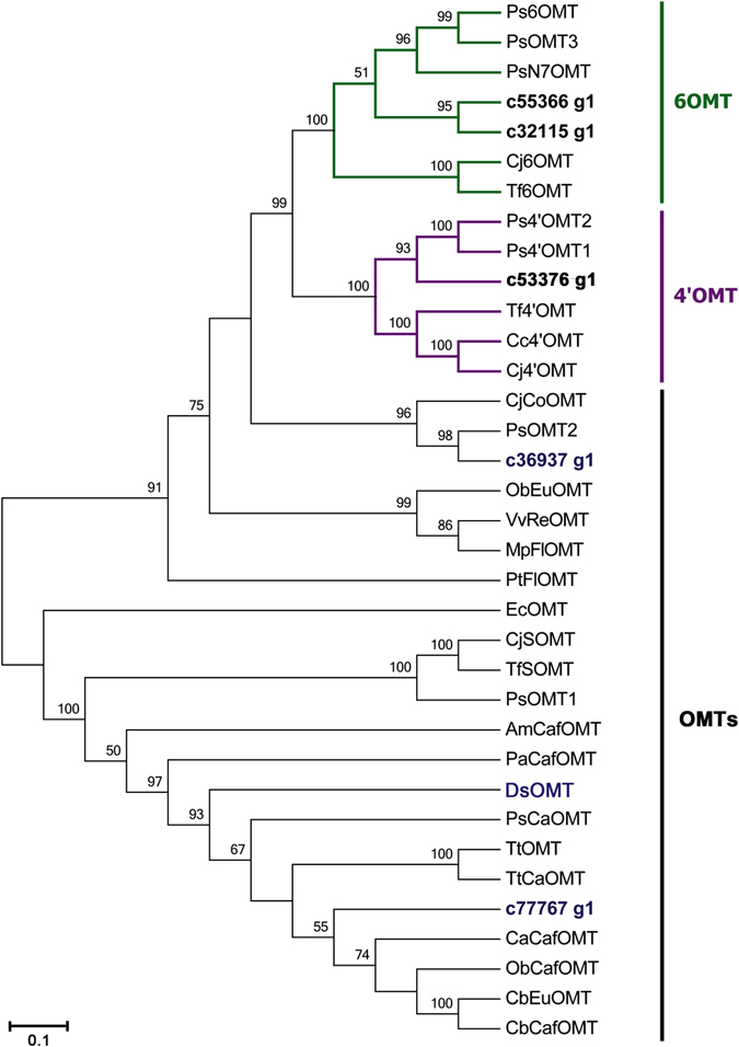 Figure 5