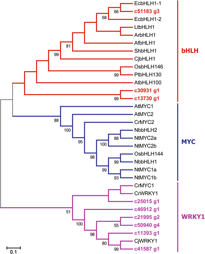 Figure 7