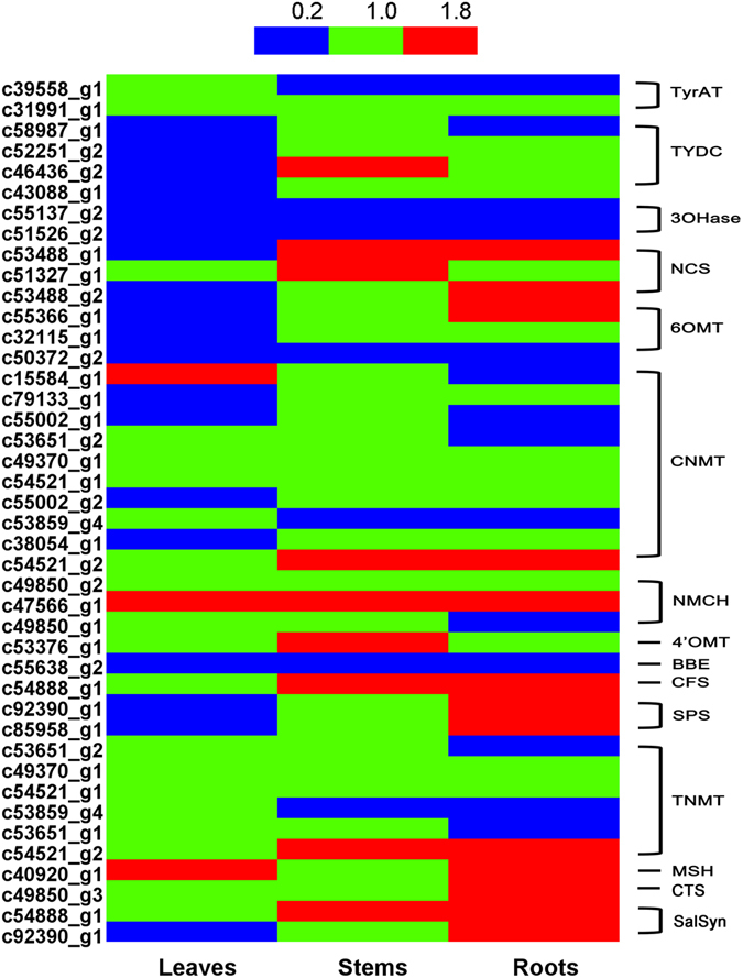 Figure 4