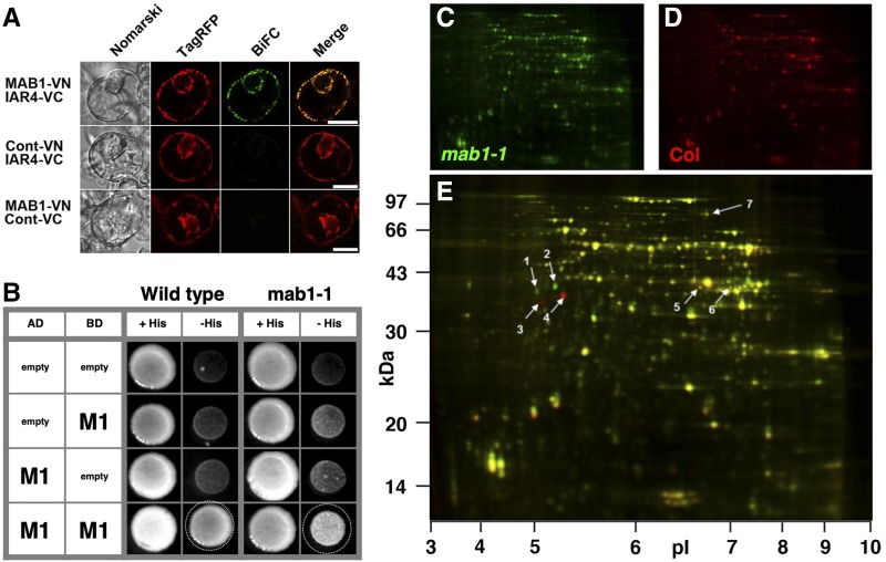 Figure 3.