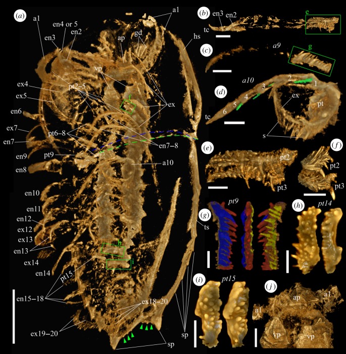 Figure 2.