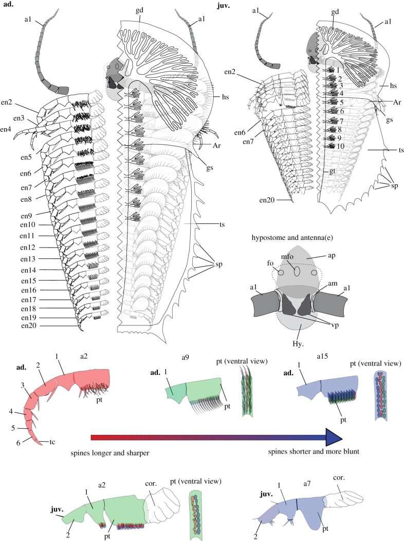 Figure 3.