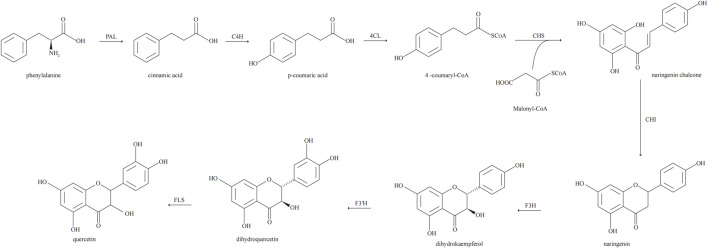 FIGURE 2