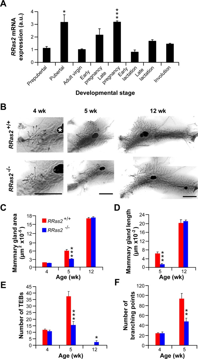 FIGURE 3: