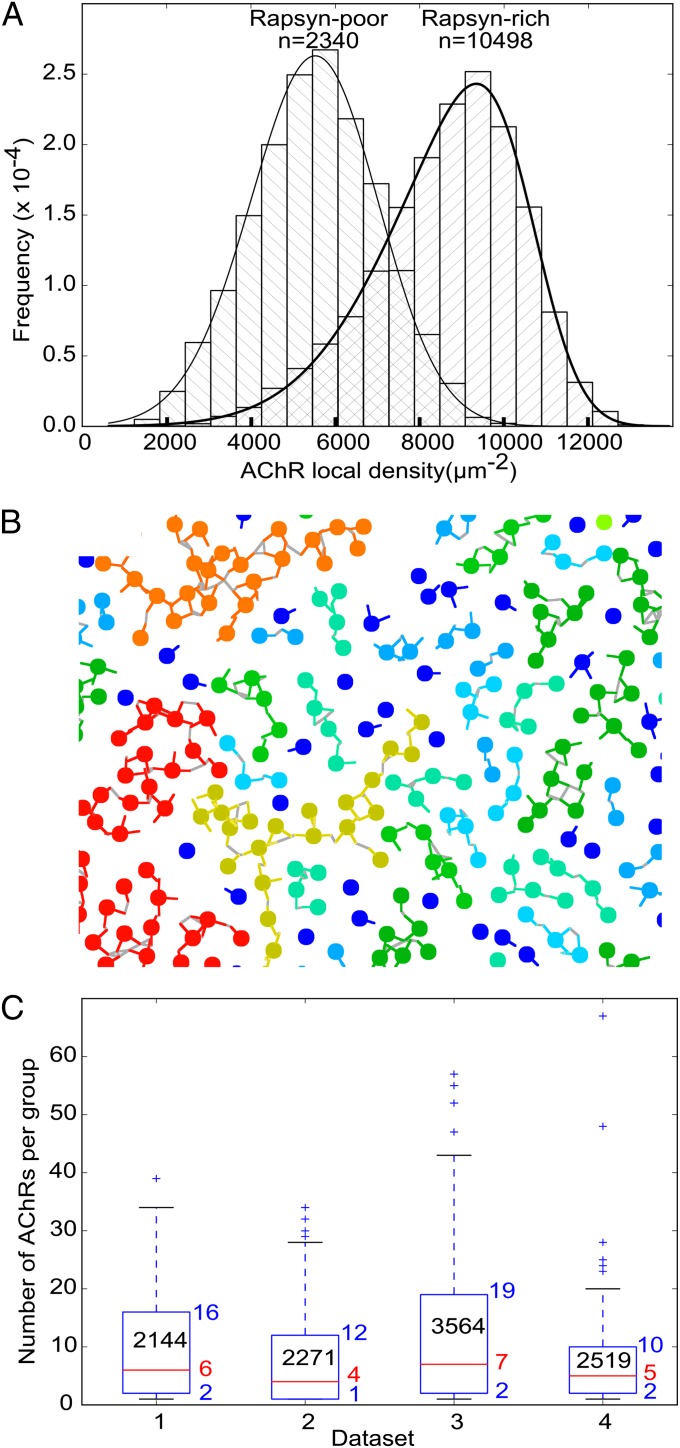 Fig. 3.