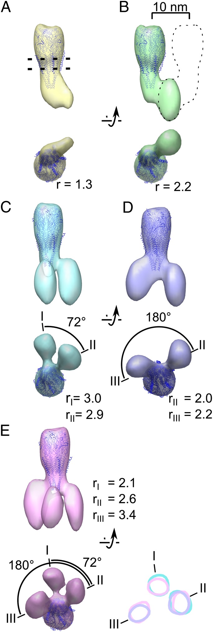 Fig. 2.