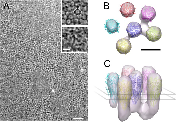 Fig. 1.