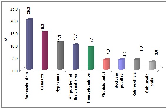 Graphic 3