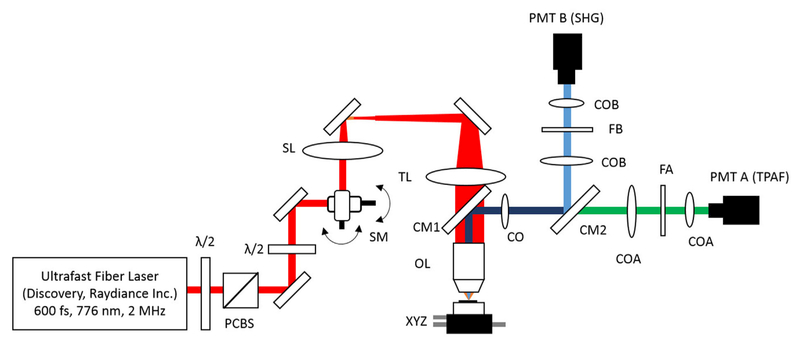Fig. 1.