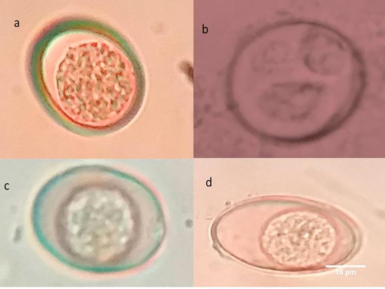 Fig. 5