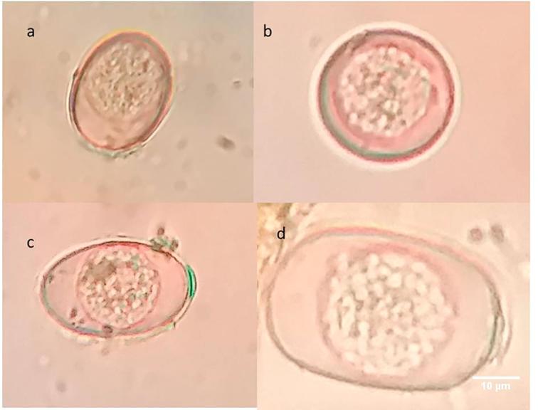 Fig. 4