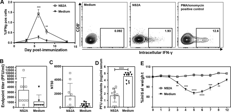 FIG 12