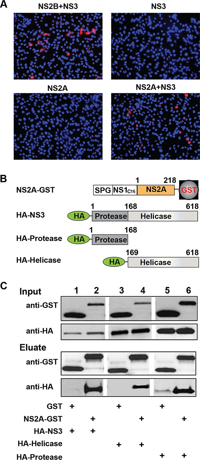 FIG 10